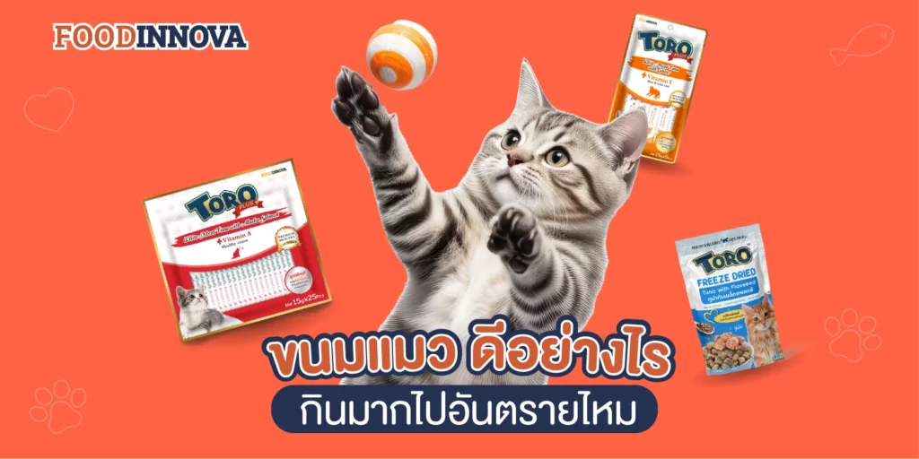 ขนมแมว ดีอย่างไร กินมากไปอันตรายไหม