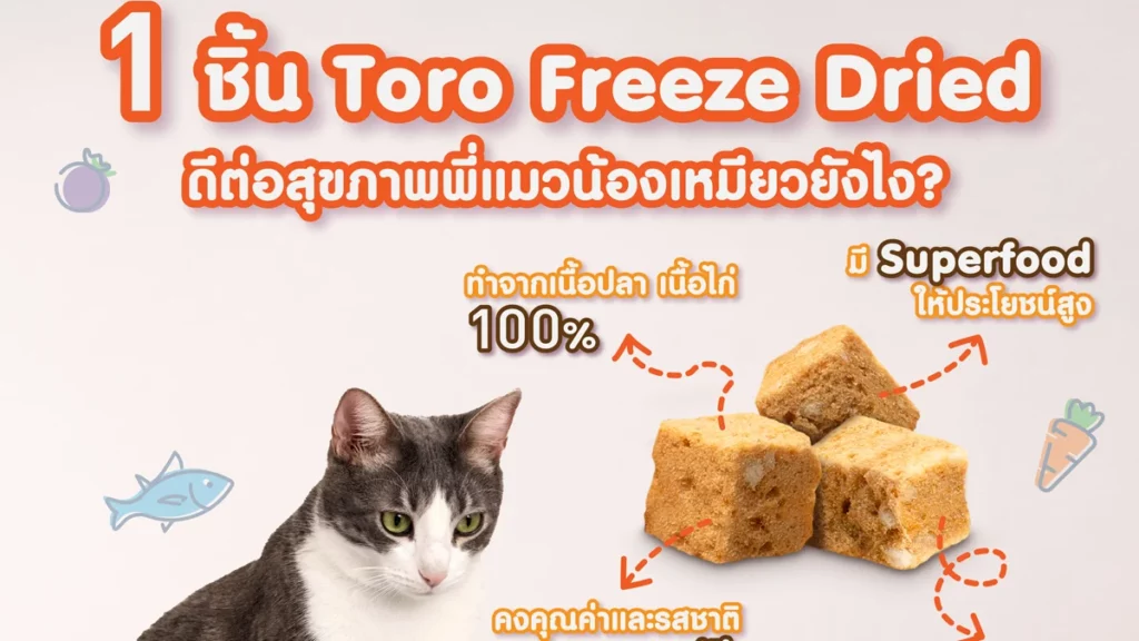 ทุกชินอ toro