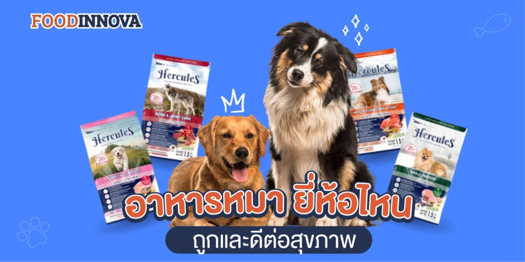 อาหารหมา ยี่ห้อไหนถูกและดีต่อสุขภาพ